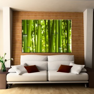 obrazy-bambusy
